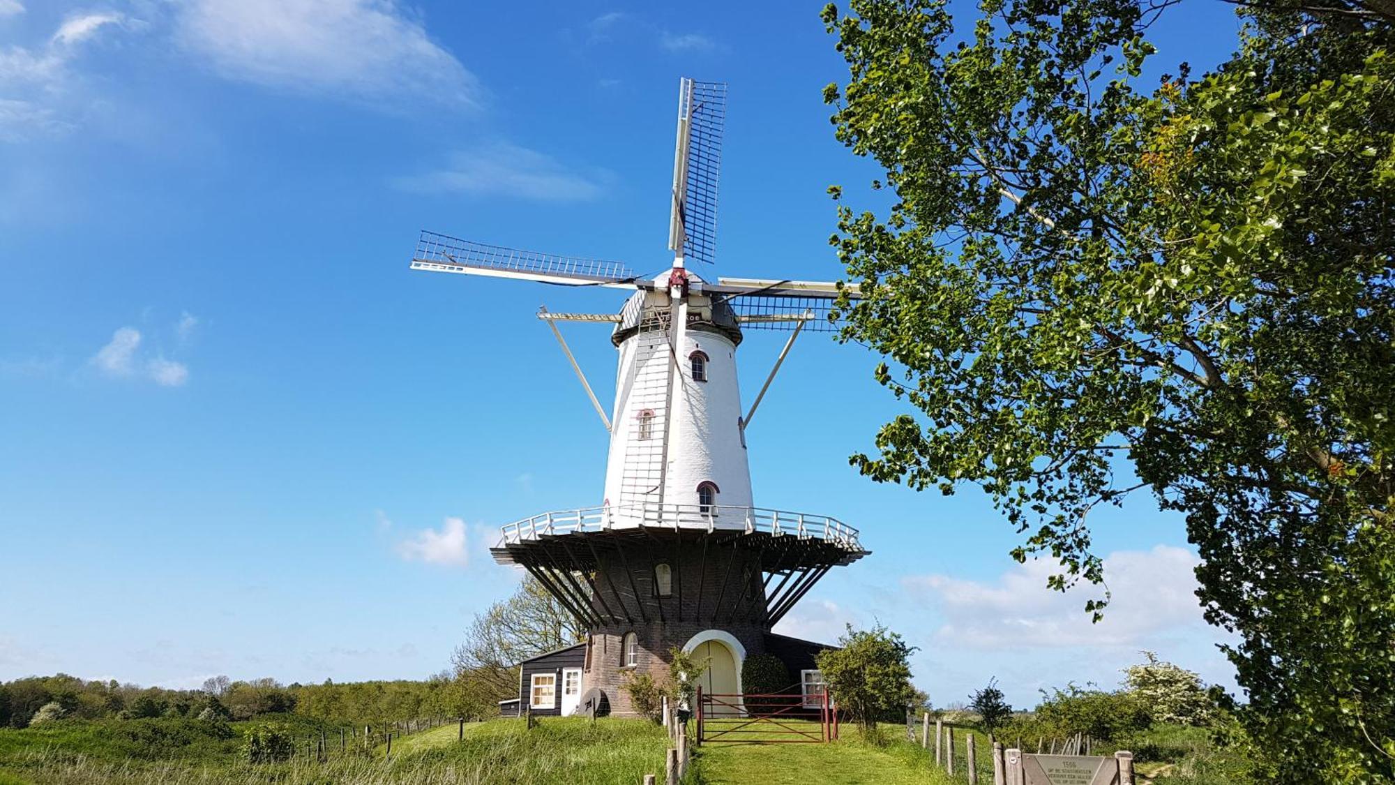 Olmenduin Chalet Olm Zeeland Serooskerke  Bagian luar foto